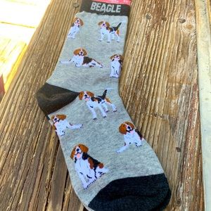 Wheel House Novelty Socks Beagle